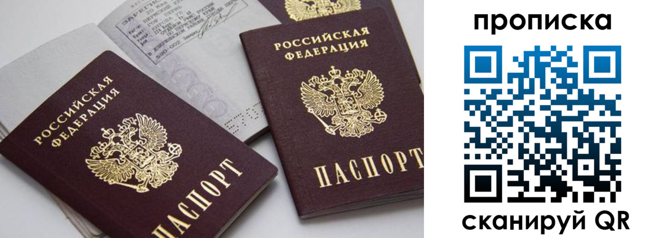 прописка в Губкине